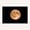 Vollmond überstrahlt das Schauspiel der Meteorschauer